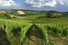 Visita dell'Azienda Ceretto con Degustazione di Barolo