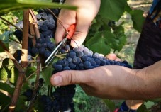 Degustazione in Coppia delle Specialità Monte Pollino 