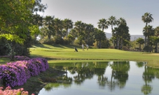 Golf in Tenerife: Hotel Las Madrigueras Golf Resort & SPA