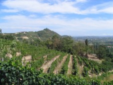 Battesimo del Volo a Casale Monferrato - Pacchetto Famiglia