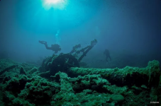 Immersione Sotto le Stelle Isole Tremiti Puglia