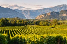 Tour Classico Degustazione Franciacorta | Cantine della Lombardia