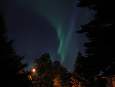 Renne e Aurora Boreale per Due in Lapponia