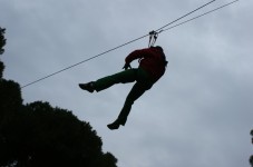 Arrampicata sugli alberi e corso corde