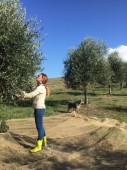 Olive Experience a Pienza - Siena