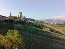 Alba: tour di mezza giornata di caccia e degustazione di tartufi in Piemonte