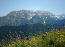 Accesso Parco Avventura Majella di 3 ore & soggiorno 1 notte