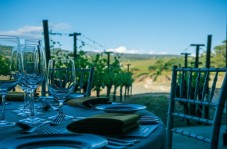 Wine and History Tour: Pécs, Siklós, and Villány with Tasting