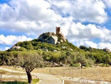 Pranzo Completo presso una cantina vinicola in Sardegna