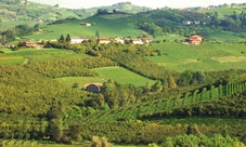 Degustazione vini guidata di vini biologici presso la Cantina Punset iin Piemonte