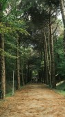 Avventura ed emozioni al Parco Cerwood 