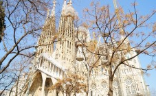 Ingresso prioritario alla Sagrada Familia e tour privato del Barri Gòtic