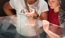 Biglietto salta coda: Body Worlds of Amsterdam