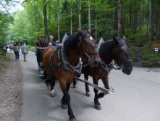 Matrimonio in Carrozza