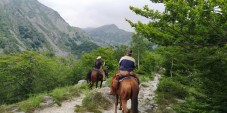 Passeggiata a cavallo zona Torino 