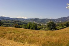 Caccia al tartufo e visita cantine