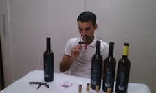 Guided tour of Monzón Castle with wine tasting from Barcelona
