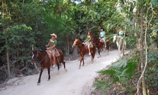 Tour a cavallo nella giungla