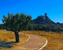 Tour in e-bike per 2 ad Olbia - Sardegna