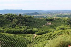 Buono Esperienza in Veneto