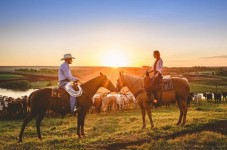 Passeggiata a Cavallo pomeridiana con Cena in Agriturismo e Passeggiata Notturna