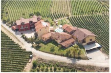 Wine Tour Deluxe vicino Bologna: Visita in Cantina e Degustazione Gourmet