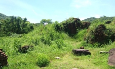 Cham culture tour with My Son Sanctuary