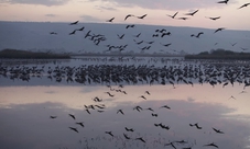 Galilee customized day tour from Tel Aviv