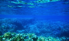 Tour in barca con fondo di vetro a Sharm El Sheikh