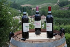 Degustazione di vini privata in un'antica azienda vinicola a Frascati