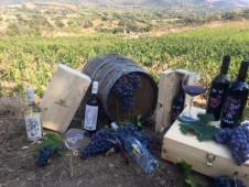 Soggiorno di 2 notti per 2 a Cardedu con degustazione e passeggiata tra i vigneti