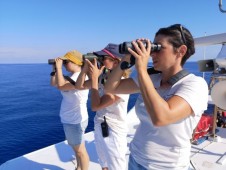 Genova, escursione guidata avvistamento cetacei accessibile