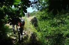 Escursione Lungo il Fiume con Degustazione in Calabria 