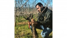 Degustazione Vini Locali e Passeggiata a Cavallo tra i vigneti