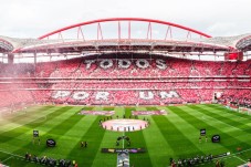 Pack SLB - Estádio & Museu + Cachecol + Prova de Vinhos p/2