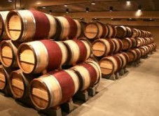 Tour dei vigneti con degustazione vino a Siena