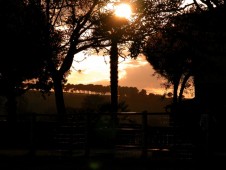 Passeggiata a Cavallo Conero nelle Marche