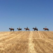 Uscita di un'ora a cavallo per 2 in Toscana