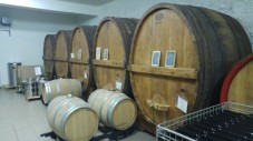 Food, Wine & Extra Virgin Olive Oil Tasting Experience 