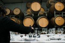 Degustazione 3 vini, visita vigna e cantina in Franciacorta