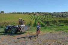 Tour di Gruppo in Bici & Degustazione in Basilicata 