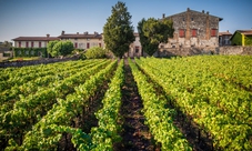 Tour di degustazione vino nel cuore della Franciacorta