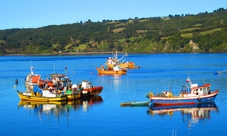 Full Day to Chiloé Island & Beaches Tour