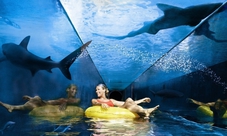Escursione per crociere: giornata intera a Dubai Atlantis Aquaventure e Lost Chambers