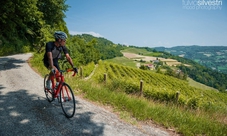 Private bike tour in Barolo with wine tasting and light lunch