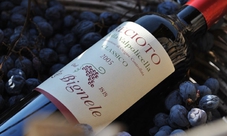 Degustazione Amarone della Valpolicella presso Le Bignele