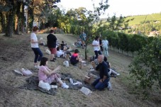 Tour Gastronomico San Damiano 