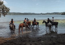 Due Giorni a Cavallo sulle sponde del Lago Viverone in Piemonte