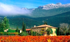 Rioja wine tour from San Sebastian