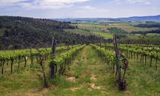 Tour di un giorno in Toscana tra Chianti, Siena e San Gimignano